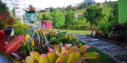 Khaem Son Casa | บ้านปลายฝัน Baanplaifun