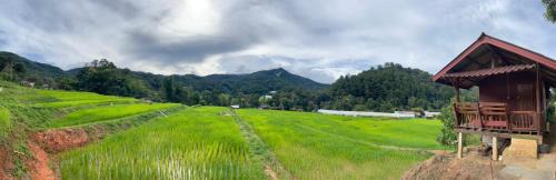 Ban Luang Casa | บ้านพักเคียงนา