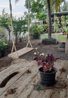 Ban Phai Casa | บ้านพักในสวนK&N2