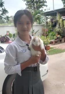 Ban Phai Casa | บ้านพักในสวนK&N2