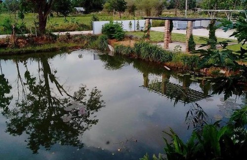 Nong Bua Daeng Casa | บ้านสวนปลายนา Ban suan pailna