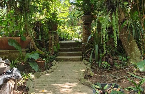 Nong Khai Casa | บ้านสวน โฮมสเตย์