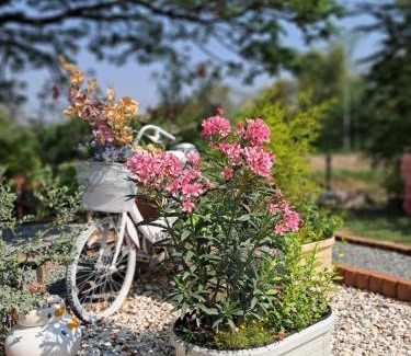 Nong Sarai Casa | บ้านเป็ดน้อย Little duck cottage