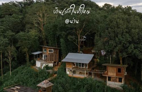 Nan Complejo | บ้านเล็กในป่าใหญ่ at น่าน Little House In the Forest at Nan