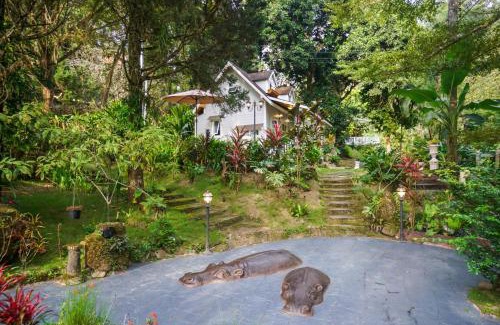 Doi Saket Casa | ปางสูงเฮาส์ Blue mini House