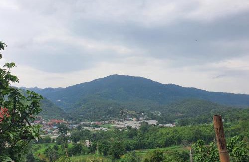 Pong Yaeng Otro | พิงดอย โป่งแยง