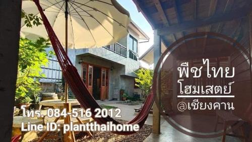 Chiang Khan Casa | พืชไทยเชียงคาน(Plantthai)