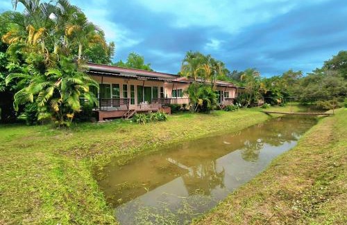 Noen Hom Complejo | ภูร์ชรินท์ รีสอร์ท