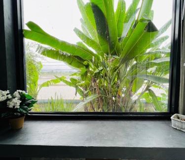 Song Casa | ริมยมรีสอร์ท