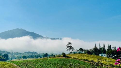 Khao Kho Complejo | วงศ์จันทร์กลางหมอก รีสอร์ท เขาค้อ
