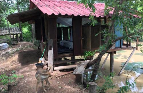 Chiang Kham Casa | สวนบ้านนอก SuanBaanNoak