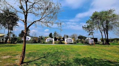 Mu Si Casa | เกรทแลนด์เขาใหญรีสอร์ท