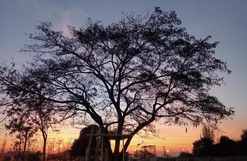 Khao Yoi Complejo | เขายัอยวาเล่ย์