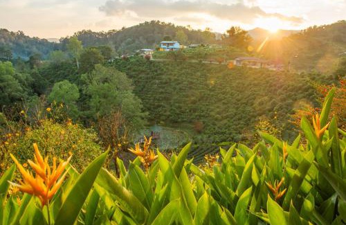 Mae Suai Complejo | เลาลีฮิลล์รีสอร์ท Laulee hill resort