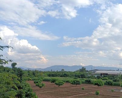 Lamphun Casa | ไร่ดง โฮมเสตย์