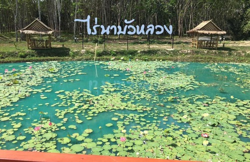 Thung Song Otro | ไร่นาบัวหลวง คาเฟ่ & ฟาร์มสเตย์ RaiNa BuaLuang Cafe & Farm Stay
