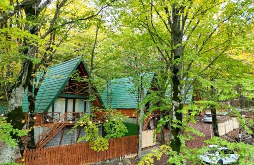 Mtskheta Casa | კოტეჯები ჩრდილში - Cottages in the shade