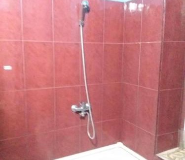 Telavi Apartamento | ქირავდება კეთილმოწყობილი ბინა თელავში ალაზნის გამზირზე