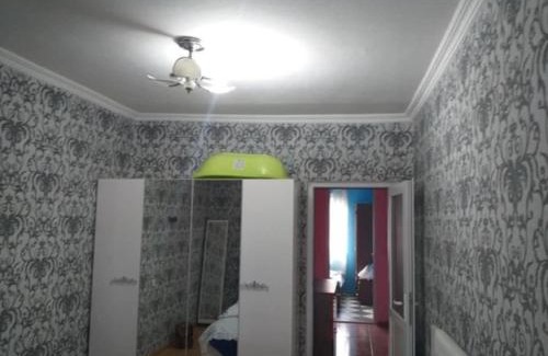 Telavi Apartamento | ქირავდება კეთილმოწყობილი ბინა თელავში ალაზნის გამზირზე