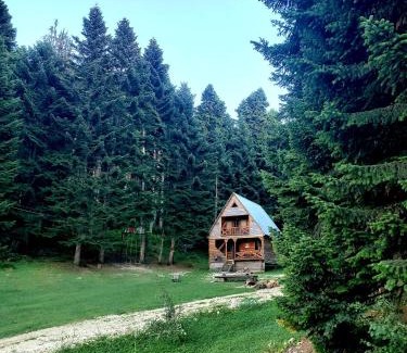 Ambrolauri Chalet De Esquí | ხის სახლი