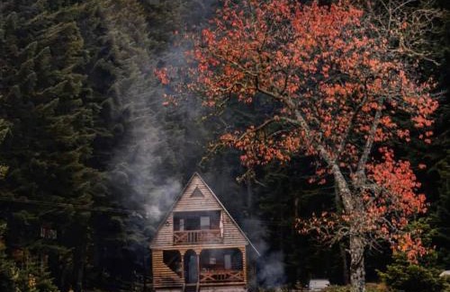 Ambrolauri Chalet De Esquí | ხის სახლი