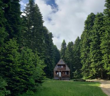 Ambrolauri Chalet De Esquí | ხის სახლი