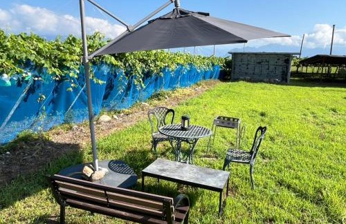 Kofu Casa | ぶどう畑に囲まれた貸切宿 バーベキュー可能 白百合醸造から徒歩すぐ"Vineyard Vista" Vacation rental BBQ permitted short walk from Winery