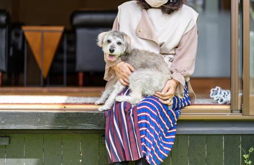 Suzaki Casa | ペットと泊まれる4LDK貸別荘 BBQ可 満点の星空に囲まれた御用邸付近の非日常空間 駐車場3台 s01