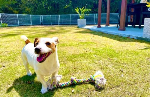 Kisami Casa | 一棟貸別荘! Ohama Beach House & BBQ! 大浜海水浴場まで徒歩10分! Pets welcome!
