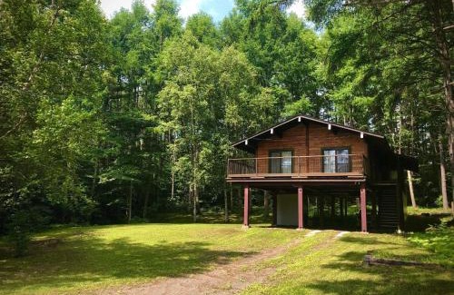 Nagano Chalet De Esquí | 『一軒丸々貸切』徒歩5分圏内カフェ 自然を満喫 Modern Ski Chalet +WiFi & 5min walk to cafes.
