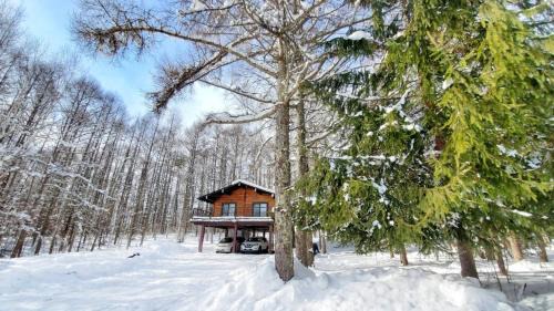 Nagano Chalet De Esquí | 『一軒丸々貸切』徒歩5分圏内カフェ 自然を満喫 Modern Ski Chalet +WiFi & 5min walk to cafes.