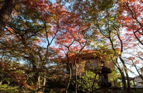 Ukyo Ward Casa | 伝心庵 Garden Villa Denshin-An