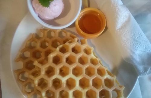 Hengshan Cama Y Desayuno | 內灣星光流域民宿