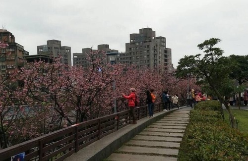 Xizhi District Apartamento | Nature 近郊 鬧中取靜 的 好 地方 （內 湖 雅房) Naturaleza al lado de la ciudad de Taipei