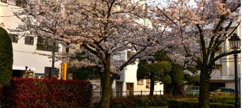 Matsuyama Casa | 媛楽園 松山中心地及び道後温泉に近い家族やグループ旅行の多人数が泊まれる快適な宿