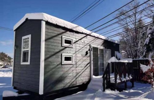 Narusawa Apartamento | 富士山下Trailer House-B