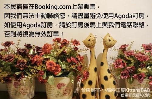 Taitung City Centre Casa | 小貓兩三隻民宿 Kittens B&B 貓咪民宿&寵物友善