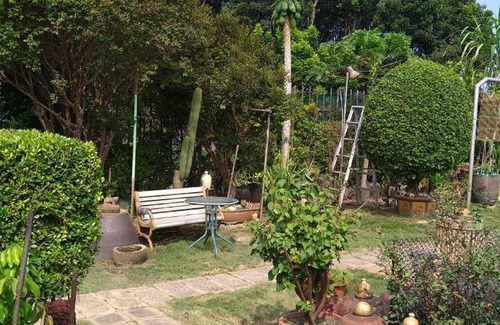 Liujiao Casa | 日式三人房