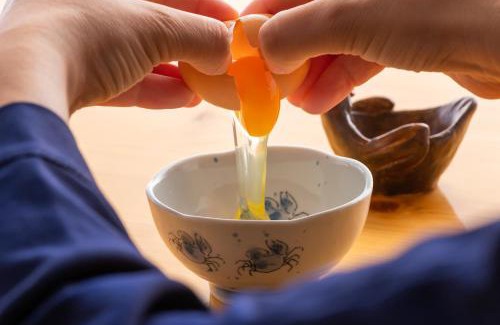 Aki Hotel | 日本の秘境で味わう絶品地鶏 ジローのおうち