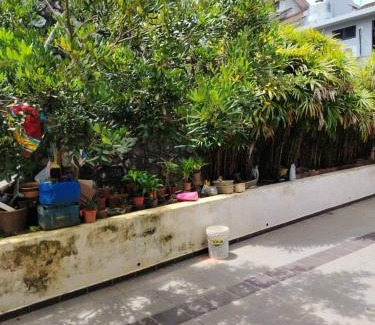 Gua Apartamento | 明国民宿