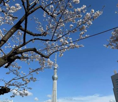 Asakusa Casa | 東京雷門ー千の森Asakusa