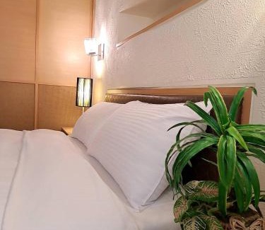 Yuchi Cama Y Desayuno | 水社海民宿