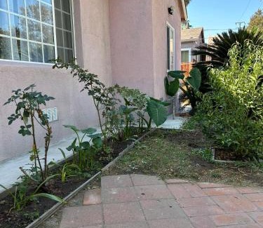 El Monte Casa | 洛杉矶东部花园式独立屋暂停