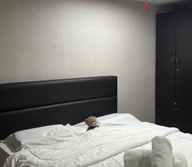 Bandar Baru Permas Jaya Casa | 派星星