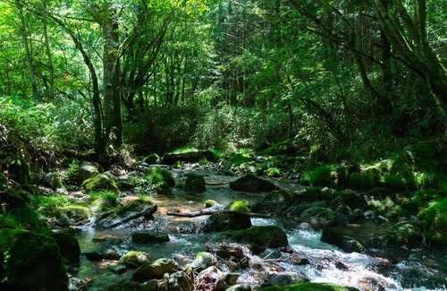 Ehime Prefecture Casa | 深山山荘 DENCHI