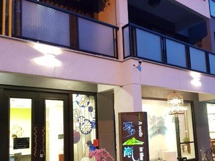 Xitou Casa | 漫步山嵐 A walk in the mist