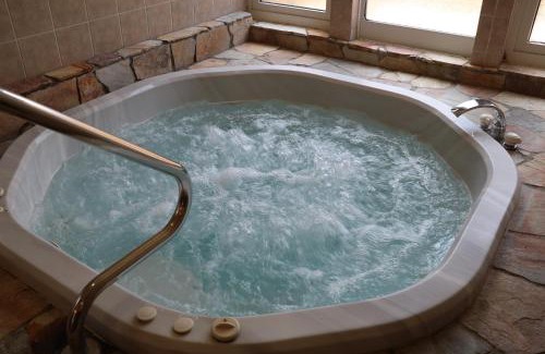 Kamisuwa Onsen Cama Y Desayuno | 白樺湖ペンションロック