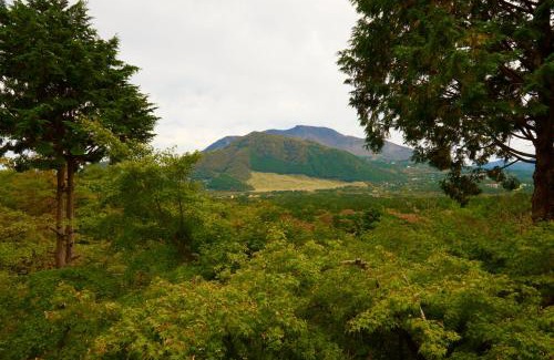 Hakone Casa | 美術の宿 箱根もみじの森