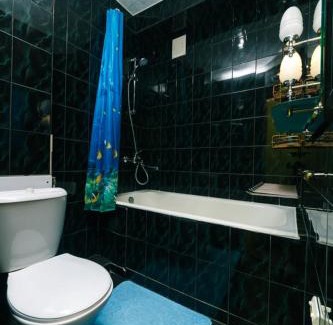 Holosiivskyj Apartamento | 1 комнатная квартира м Васильковская газ и низкий этаж