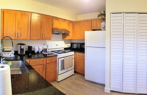 Chinatown Casa | 1 #23 - 4 Bedroom Condo - McCormick Place, Wintrust Arena, Chinatown